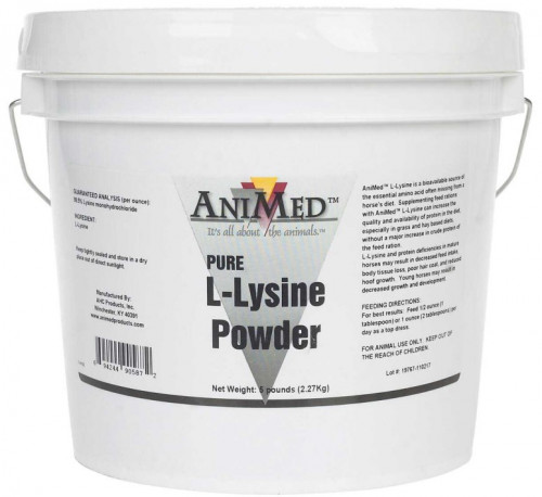 Figuur zwaartekracht Dankzegging Pure L-Lysine Powder for horses. | All Veterinary Supply