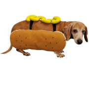 Otis And Claude Fetching Fashion Hot Diggity Dog Costume Mustard Small Entirelypets