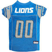 Detroit Lions Dog in Team Jersey 12x16 – Fan Creations GA