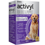 Activyl spot 2025 on for dogs