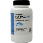 Fix Mox 250 (Amoxicillin) 250mg - 30 Capsules