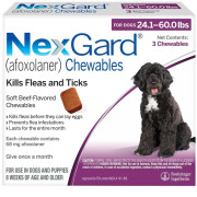 Adequan Canine Reviews Senior Dog Days My 1 Concern