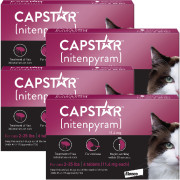 Capstar for nursing store cats