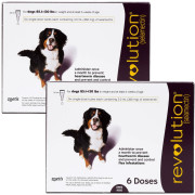 Revolution for Dogs, 85.1-130 lbs (12 Doses) | On Sale