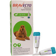 bravecto for dogs without prescription