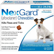 NexGard Chewables for Dogs 10 24 lbs 3 Chews On Sale EP Rx