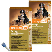 Advantage multi hotsell for dogs directions