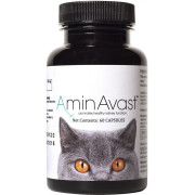 AminAvast Kidney Support for Cats (60 capsules) | On Sale | EntirelyPets Rx