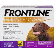 Frontline fashion gold feline