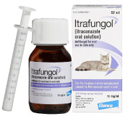 Oral antibiotics for cats best sale