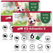 444.dogs専用 getProductImage.php?size=