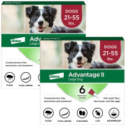 getProductImage.php?size=