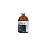 BenzaPen 48 (Penicillin G Benzathine and Penicillin G Procaine