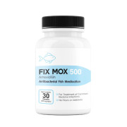 antibiotics fish hook aid amoxicillin 250 mg 100 capsules - Burlington, NC Fish Mox Amoxicillin Medication -