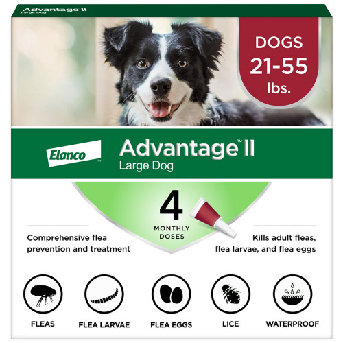 Advantage Flea Control Dogs 21-55lbs 4 Months 