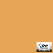 getProductImage.php?size=