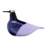 工芸品 Oiva Toikka Bird AAPISKUKKO iittala Toikka Aapiskukko - Toikka Bird Guide – GlassBirds.com
