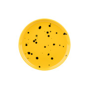 Marimekko Oiva Yellow / Black Small Snack Plate