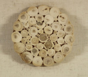 Arctic Doll Small Juniper Trivet