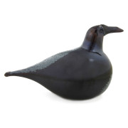 Bianco Blu Crow