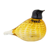 Bianco Blu Bollino