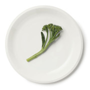 iittala Raami White Dinner Plate