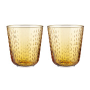 Marimekko Syksy Honey Large Glass Tumblers - Set of 2