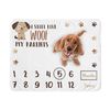 Dog milestone 2025 blanket